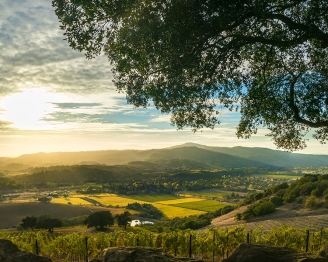 Vista of Sonoma Valley wine country in autumn.